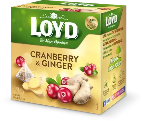 Augļu tēja LOYD Pyramids ar dzērveņu un ingvera garšu, 20x2 g