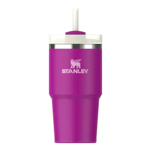 Termokruus kõrrega The Quencher H2.O FlowState Tumbler 0.59L lilla