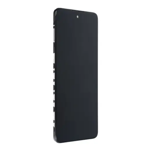 LCD for Motorola G51 5G