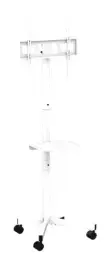 TV stiprinājums Gembird 32" - 55" TV floor stand with caster wheels White