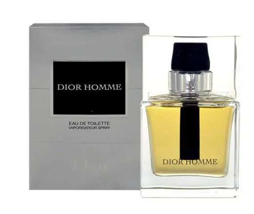 Dior Dior Homme Eau de Toilette 100 ml