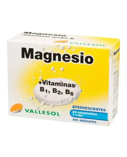 Vallesol Effervescent Magnesium B 24comp