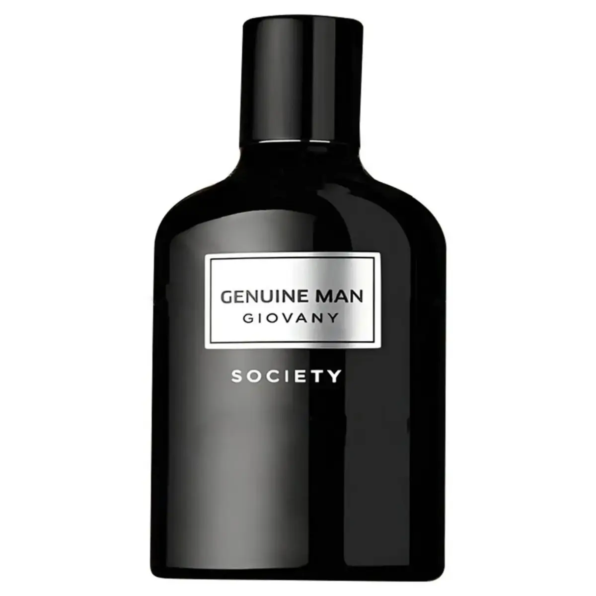 Fragrance World, Giovany Society, Eau De Parfum, For Men, 100 ml