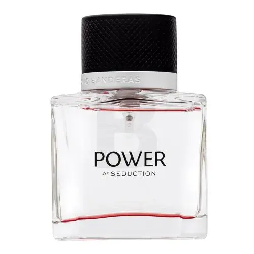 Antonio Banderas Power of Seduction Eau de Toilette for men 50 ml