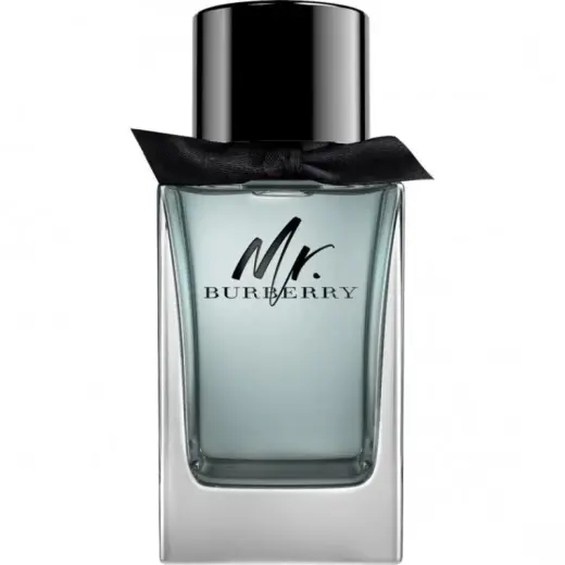 Burberry Mr. Burberry (EDT) Eau de Toilette for Men 100 ml