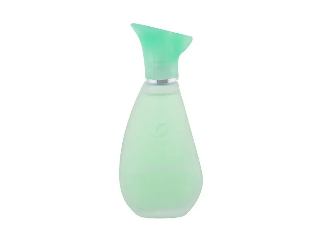 Chanson Chanson d´Eau Original Eau de Toilette 100 ml