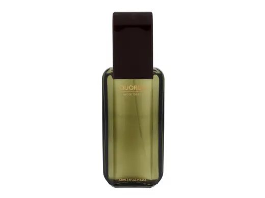 Antonio Puig Quorum (EDT) tualetinis vanduo vyrams 100 ml