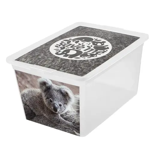 Storage box 30L X box deco koala