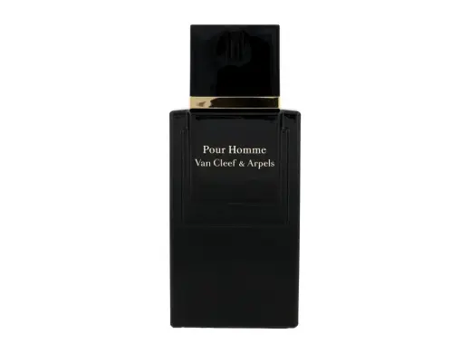 Van Cleef & Arpels Pour Homme Eau de Toilette 100 ml
