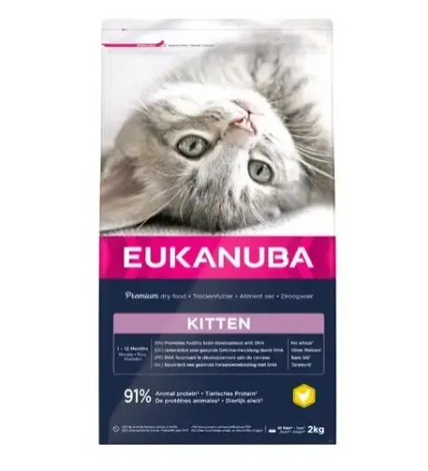 Sausā barība kaķēniem - Eukanuba CAT KITTEN HEALTHY START Chicken 2 kg