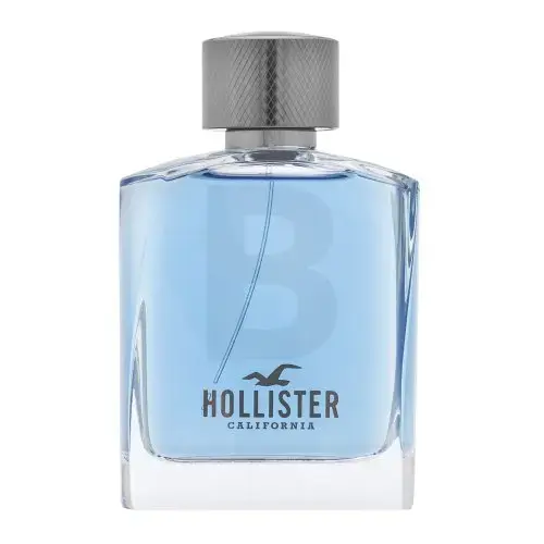 Hollister Wave For Him Tualetes ūdens vīriešiem 100 ml