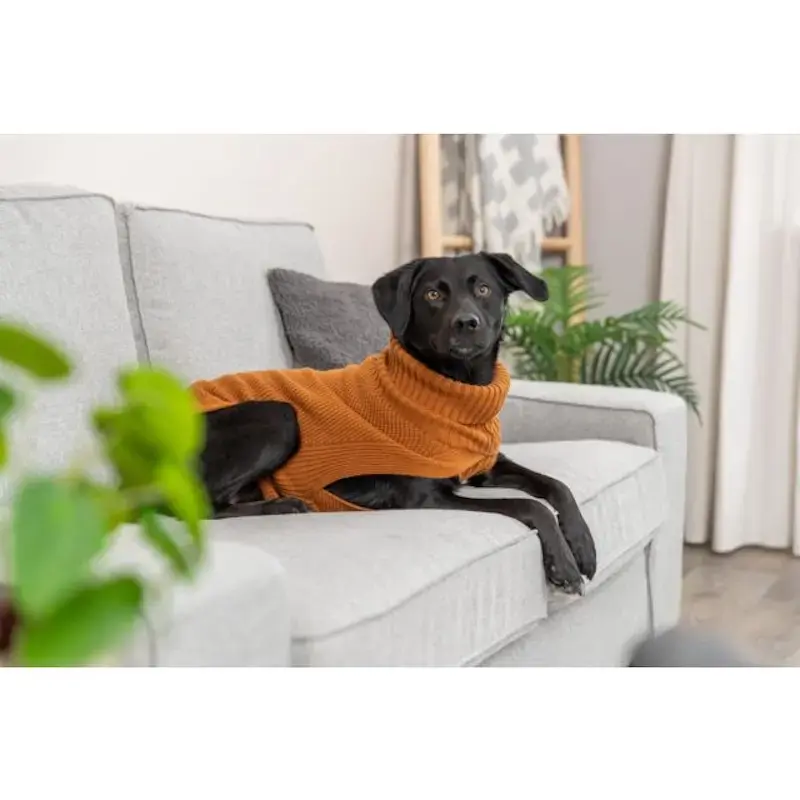 Apģērbs suņiem - Trixie CityStyle Berlin pullover, XS 30 cm