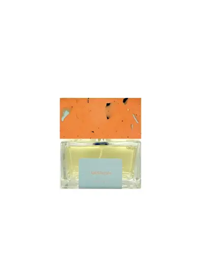 Pictor Parfum Airbrush (Extrait) parfumo ekstraktas unisex 100 ml