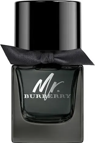 Burberry Mr. Burberry for Men EDP 50ml