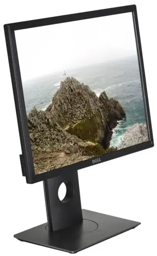 MONITOR LCD 19" P1917S IPS|210-AJBG DELL