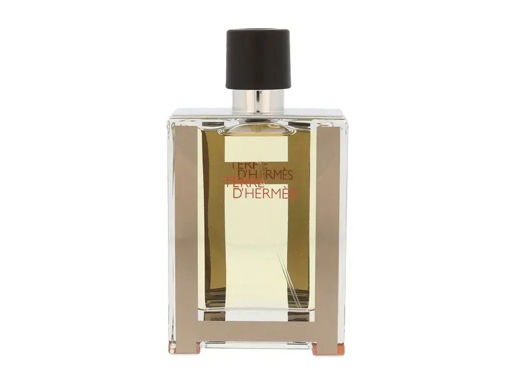 Hermes Terre d'Hermes Eau de Toilette 100 ml