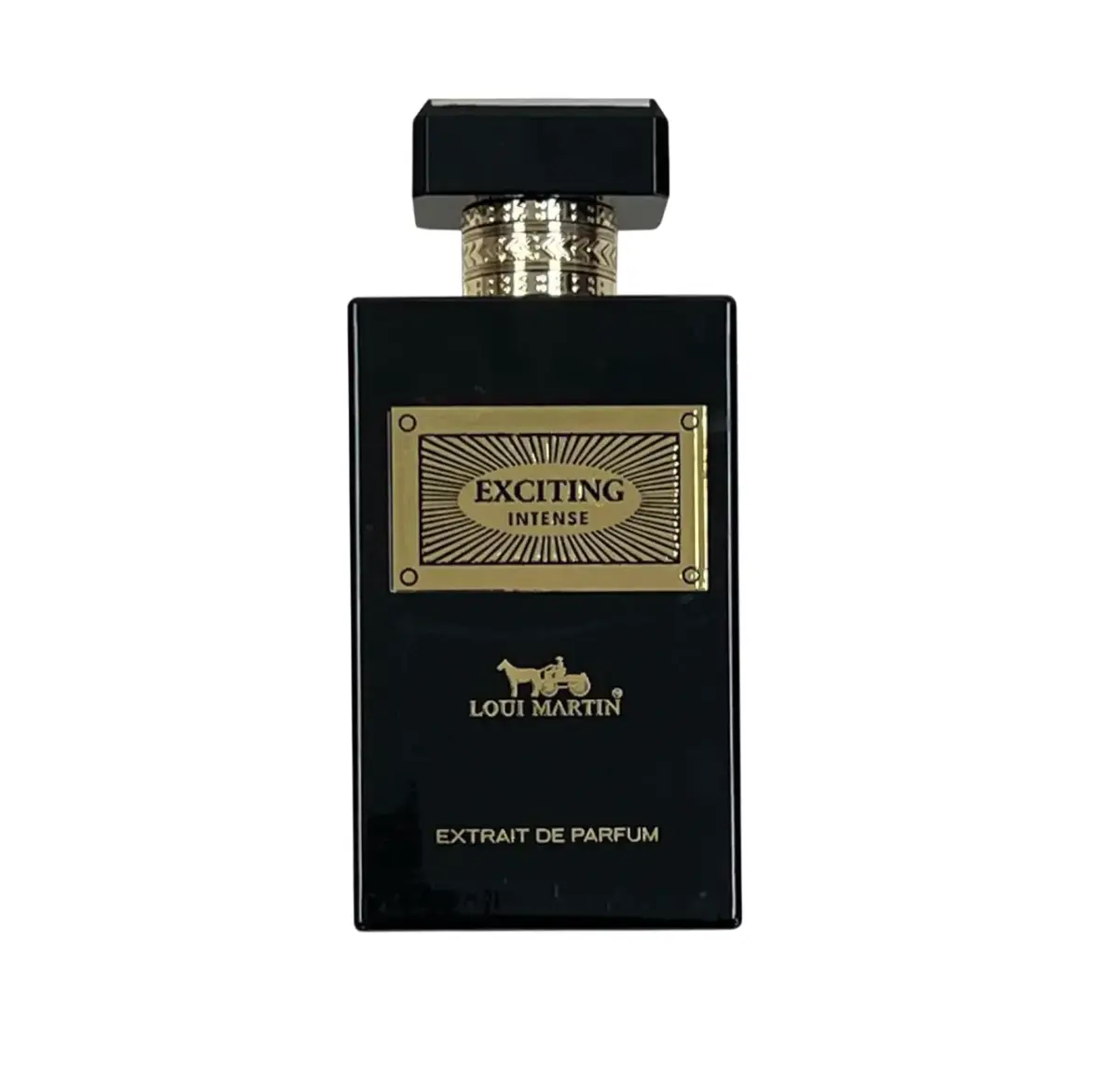 Loui Martin, Exciting Intense, Extrait De Parfum, Unisex, 100 ml