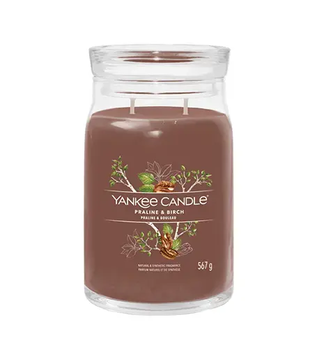 Yankee Candle Praline & Birch signature candle 567 g