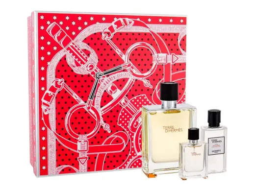 Hermes Terre d'Hermes Eau de Toilette 100 ml
