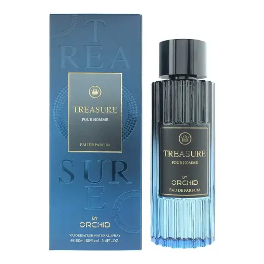 Orchid Treasure Pour Homme (EDP) parfimērijas ūdens vīriešiem 100 ml