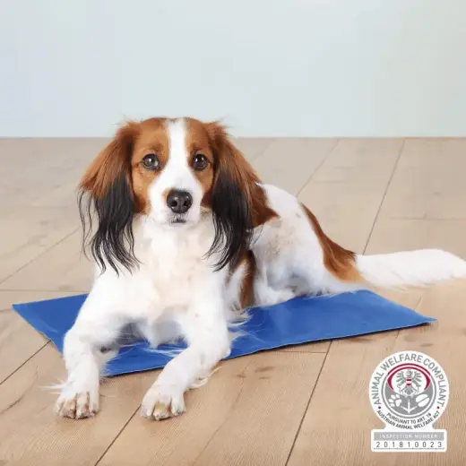 Atsvaidzinošs paklājs dzīvniekiem - Trixie Cooling mat, 65 × 50 cm