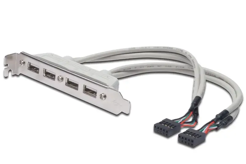 DIGITUS USB slot cable - 2 x USB Type-A|2 x IDC (10-pin) - 25 cm