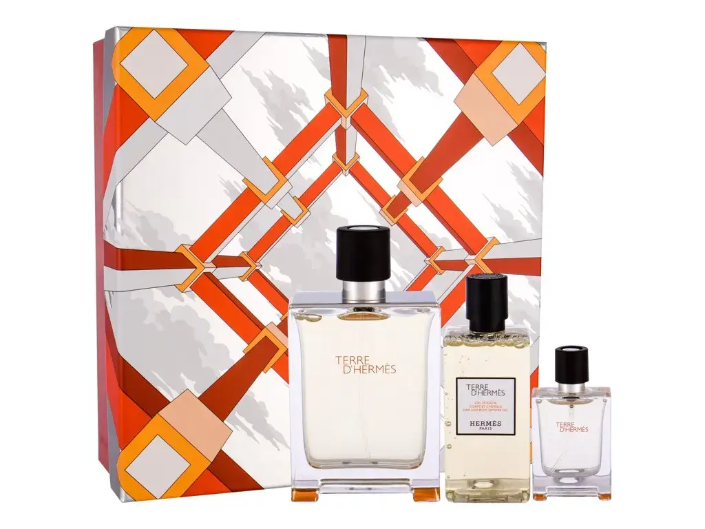 Hermes Terre d'Hermes Eau de Toilette 100 ml