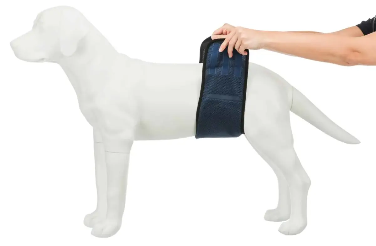 Autiņbiksītes suņiem : Trixie Diapers for male dogs, mesh material, S: 29–37 cm, dark blue