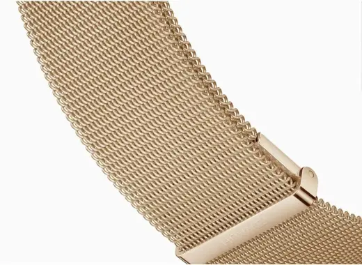 Huawei Original Magnetic Milanese Leather Strap for EasyFit 2 20mm Light Gold