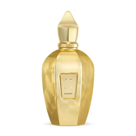 Xerjoff Vibe Accento Overdose (EDP) parfüümvesi unisex 100 ml