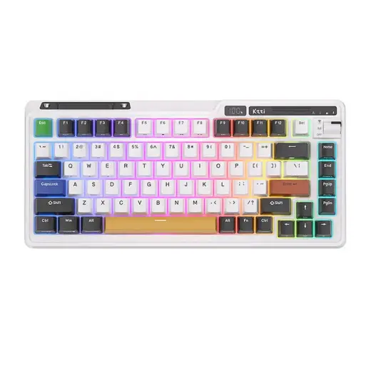 Royal Kludge KZZI K75 pro RGB wireless mechanical keyboard, Moment Switch (black and white) (QWERTY)