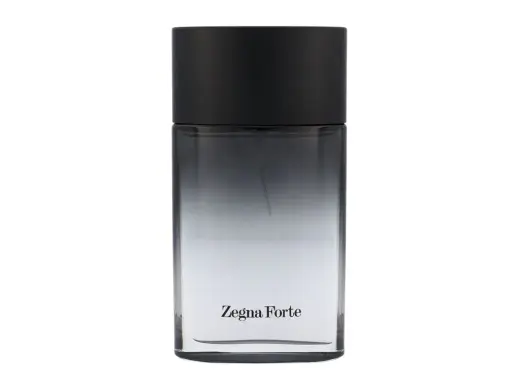 Ermenegildo Zegna Zegna Forte Eau de Toilette 100 ml