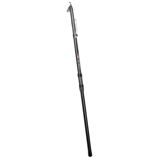 Fishing rod Pro Catch 6m
