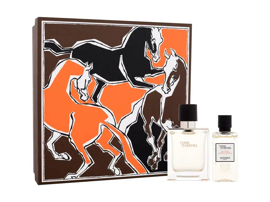 Hermes Terre d'Hermes Eau de Toilette 50 ml