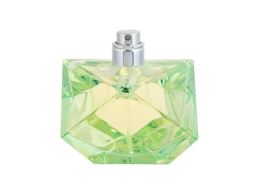 Britney Spears Believe Eau de Parfum 100 ml