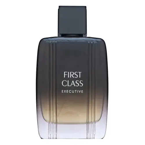 Aigner First Class Executive Туалетная вода для мужчин 100 мл