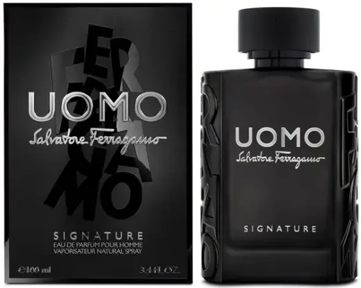 Salvatore Ferragamo Uomo Signature (EDP) parfumuotas vanduo vyrams 100 ml