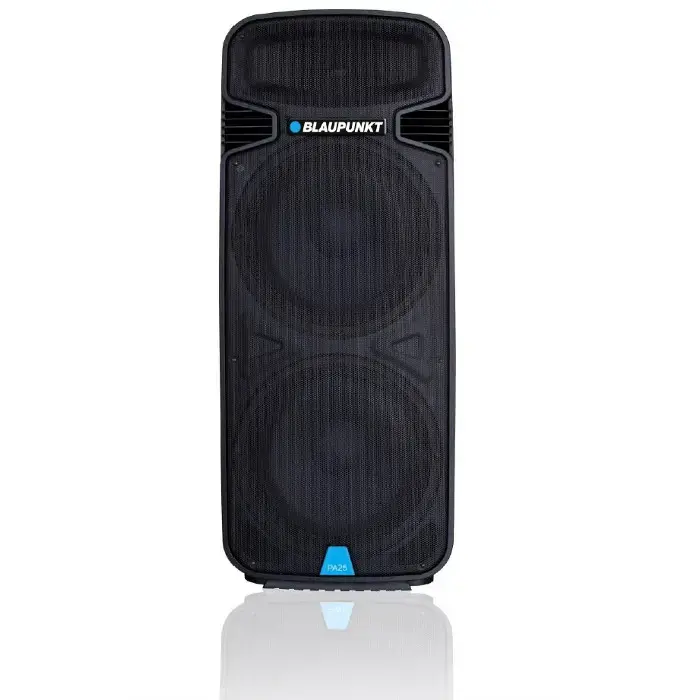 Blaupunkt Profesional System Audio PA25
