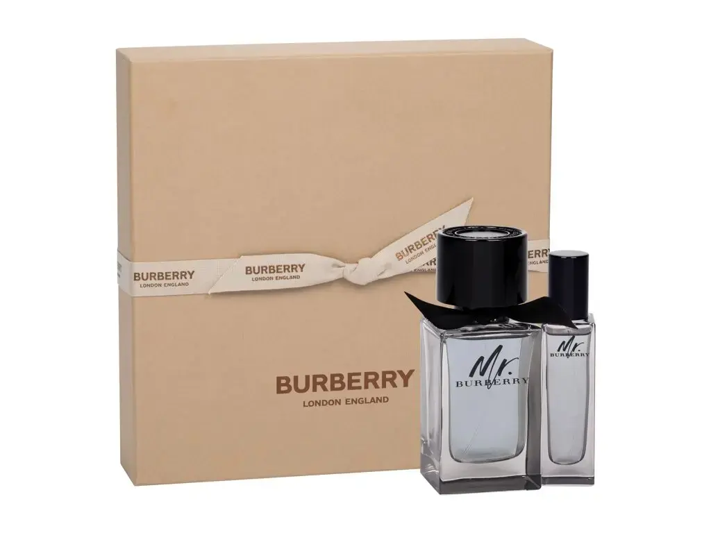 Burberry Mr. Burberry Eau de Toilette 100 ml
