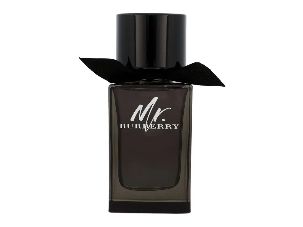 Burberry Mr. Burberry Eau de Parfum 100 ml