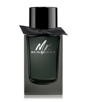 Burberry Mr. Burberry (EDP) Eau de Parfum for Men 150 ml