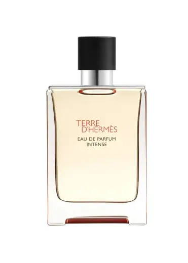 Tester Hermes Terre D’Hermes Edp Intense 100ml