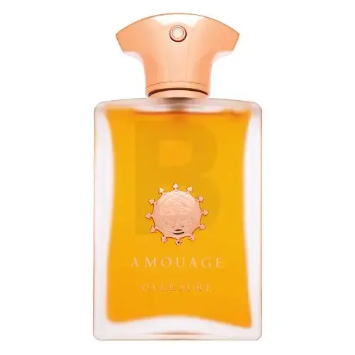Amouage Overture parfimērijas ūdens vīriešiem 100 ml