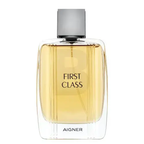 Aigner First Class Tualetes ūdens vīriešiem 100 ml