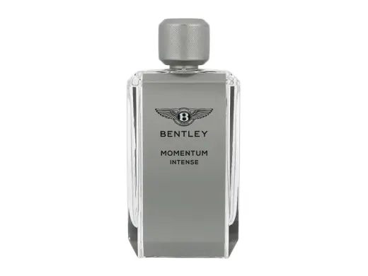 Bentley Momentum Intense Eau de Parfum 100 ml