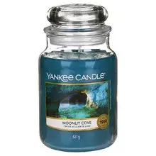 Moonlit Cove Candle - A scented candle