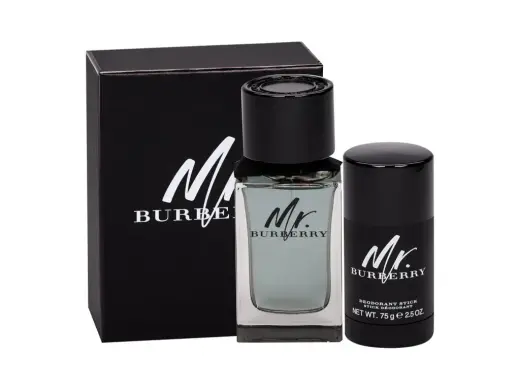 Burberry Mr. Burberry Eau de Toilette 100 ml