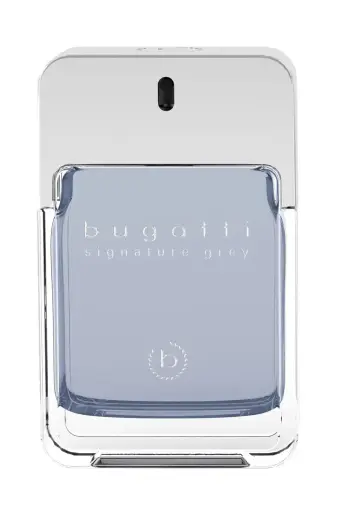 Bugatti, Grey, Eau De Toilette, For Men, 100 ml *Tester