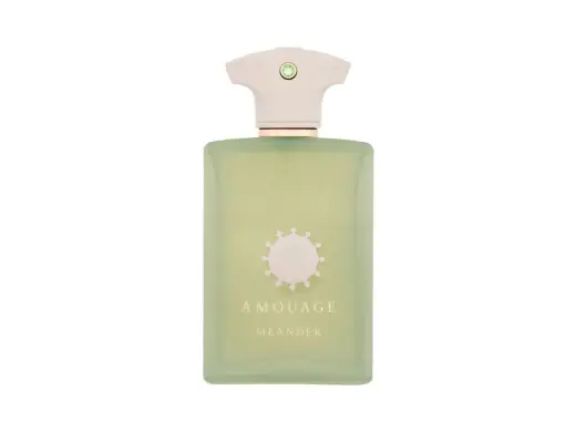 Amouage Meander Eau de Parfum 100 ml