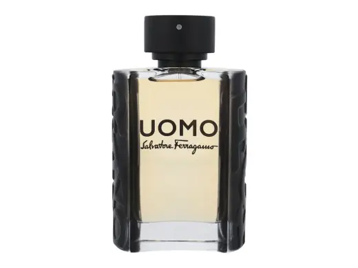 Ferragamo Uomo Eau de Toilette 100 ml